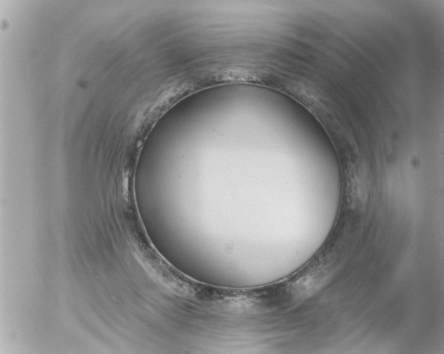 X0000055520310200508262212