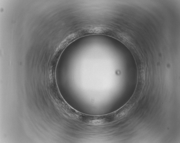 X0000055520312200508262212