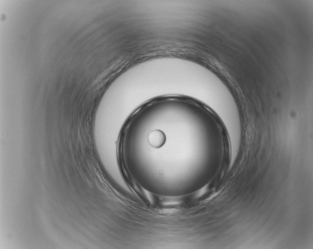 X0000055520313200508262212