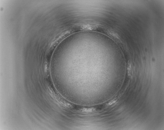 X0000055520314200508262212