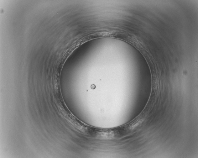 X0000055520317200508262212