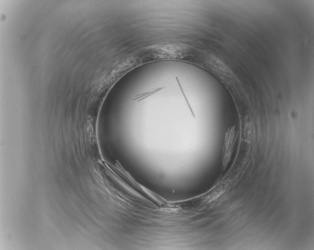 X0000055520318200508262212