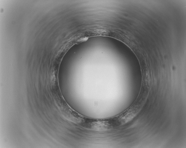 X0000055520320200508262212