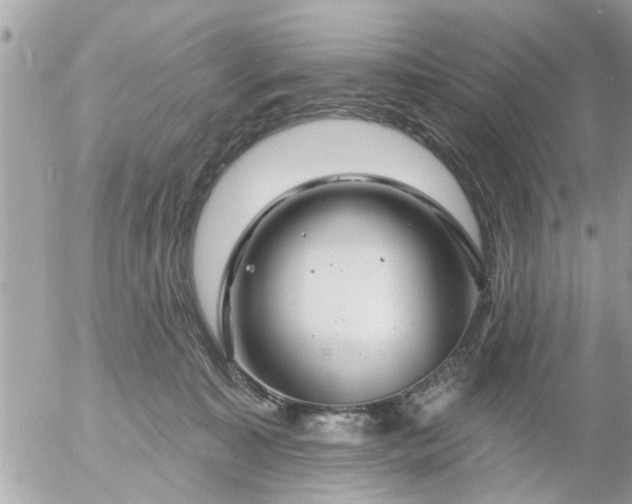 X0000055520323200508262212