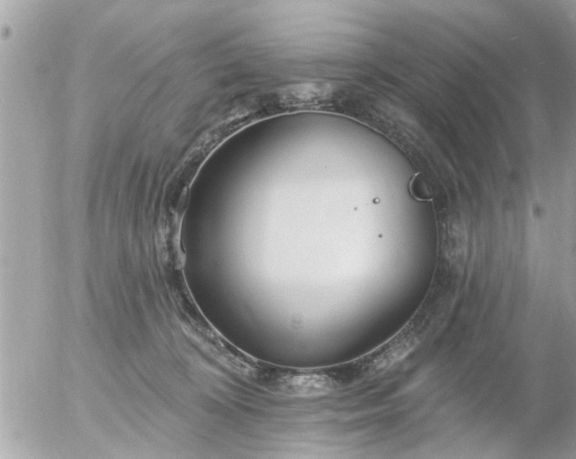 X0000055520324200508262212