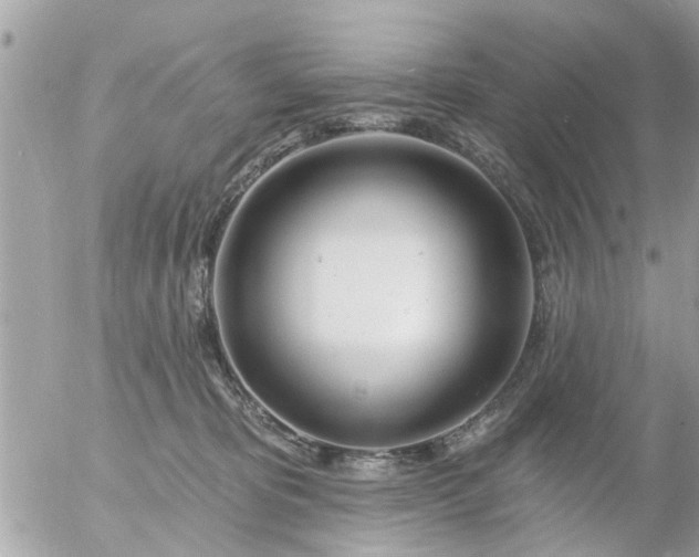 X0000055520325200508262212