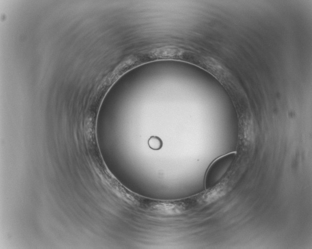 X0000055520326200508262212