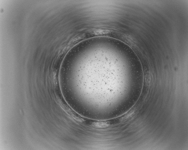 X0000055520327200508262212