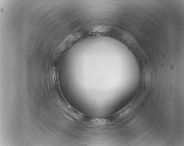 X0000055520328200508262212