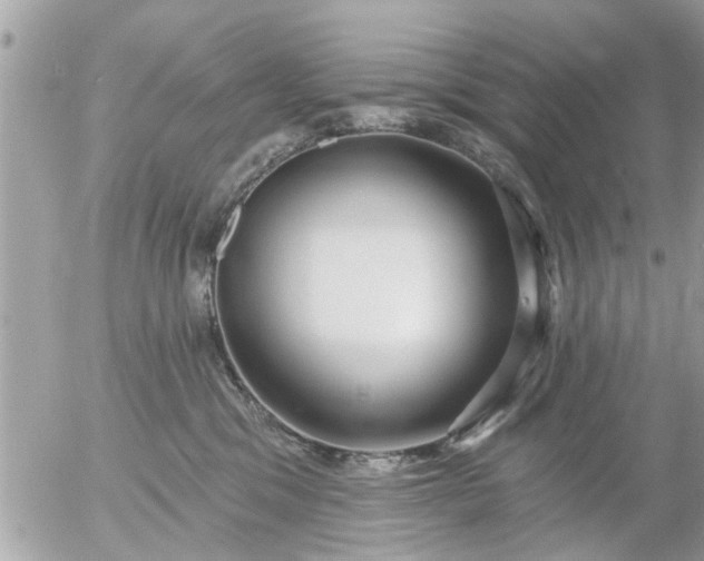 X0000055520329200508262212