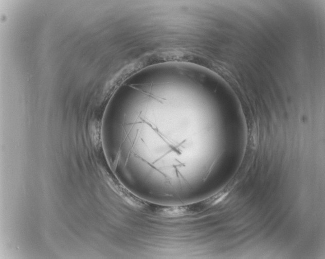 X0000055520335200508262212