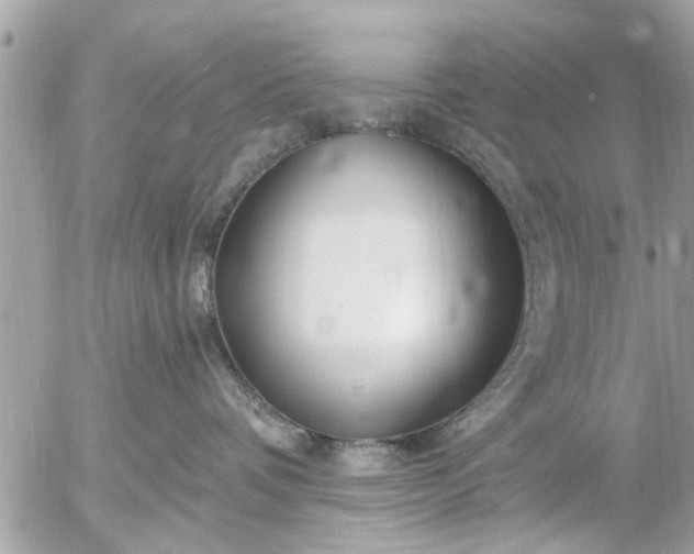 X0000055520336200508262212