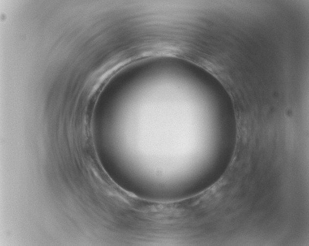 X0000055520338200508262211