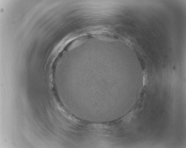 X0000055520339200508262211