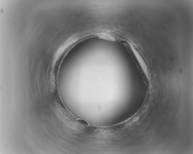 X0000055520343200508262211