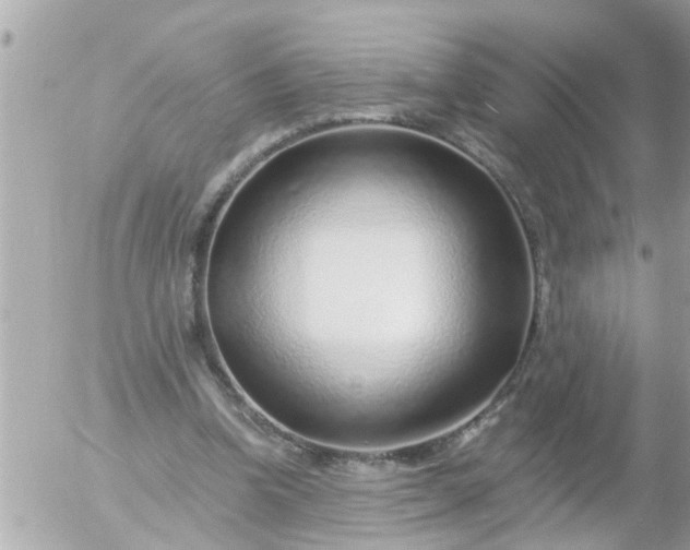 X0000055520346200508262211