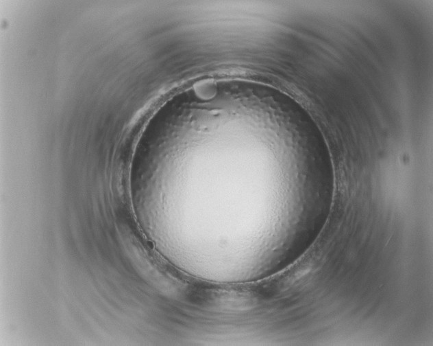 X0000055520347200508262211