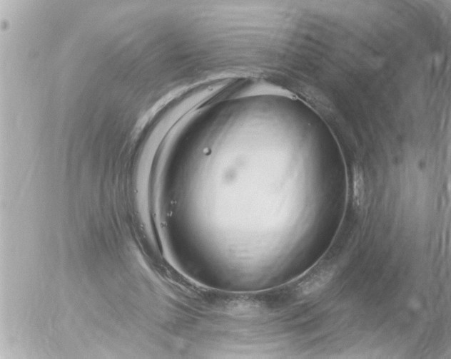 X0000055520348200508262211