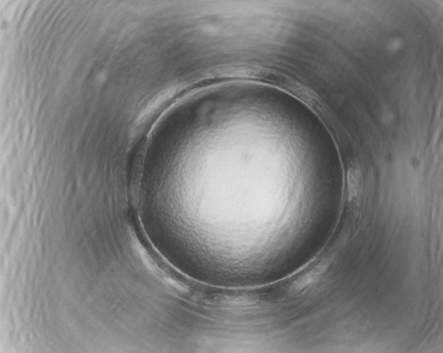 X0000055520349200508262211