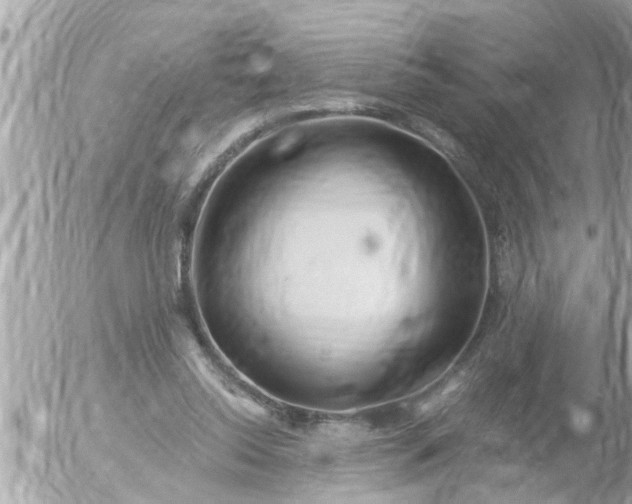 X0000055520350200508262211