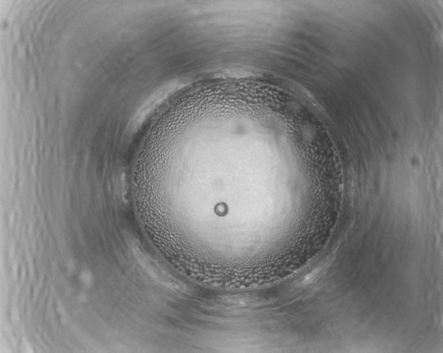 X0000055520351200508262211