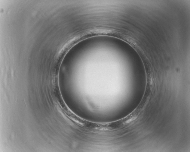 X0000055520352200508262211