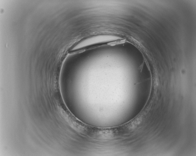 X0000055520353200508262211