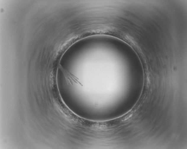 X0000055520354200508262211