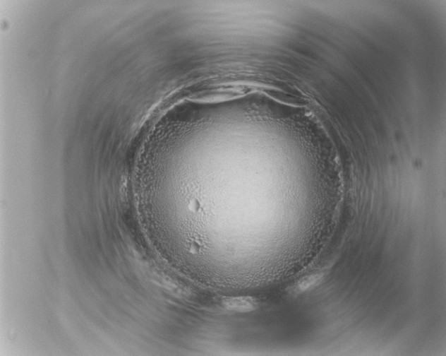 X0000055520355200508262211