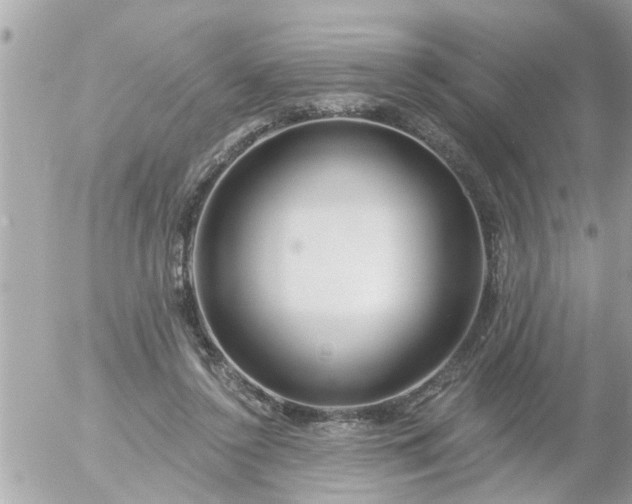 X0000055520356200508262211