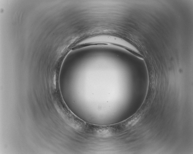 X0000055520358200508262211