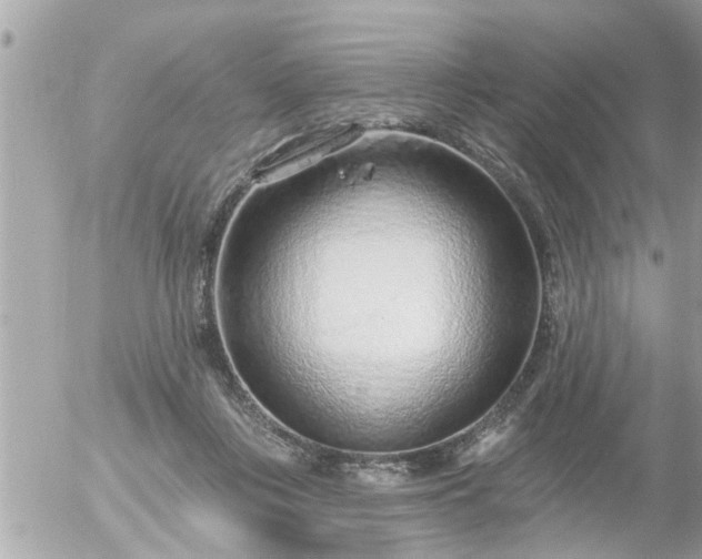 X0000055520359200508262211