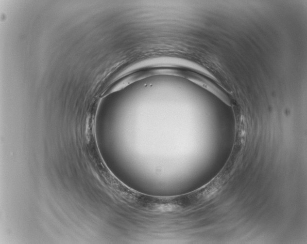 X0000055520360200508262211