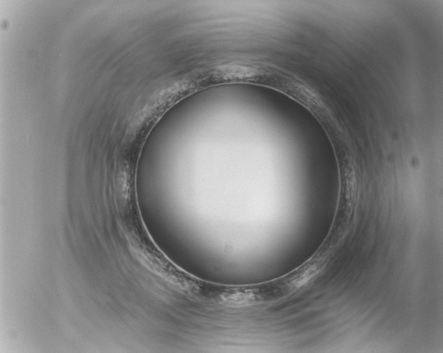 X0000055520362200508262211