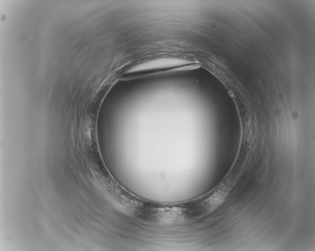 X0000055520363200508262211