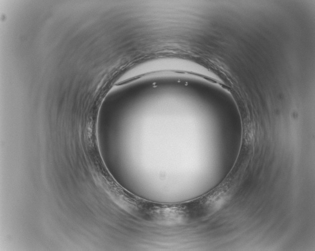 X0000055520365200508262211