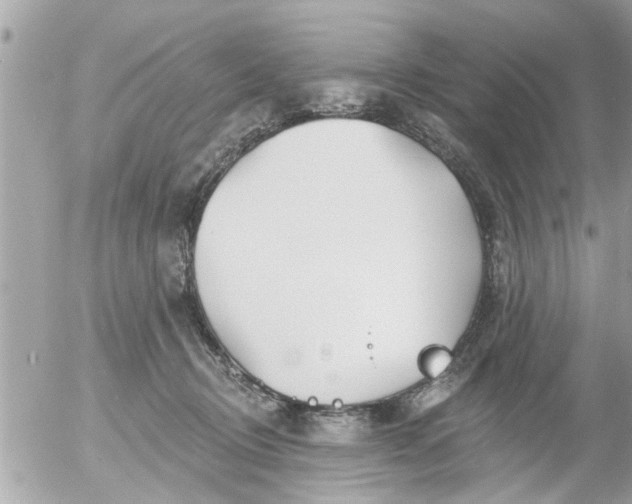 X0000055520370200508262211