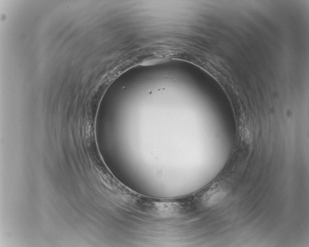 X0000055520371200508262211