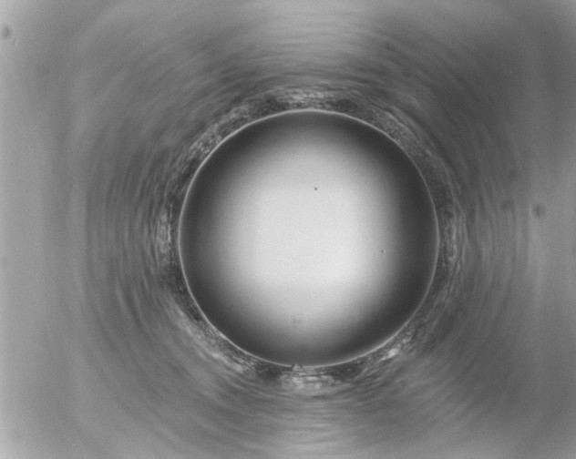 X0000055520372200508262211