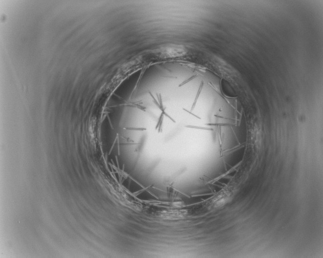 X0000055520373200508262211