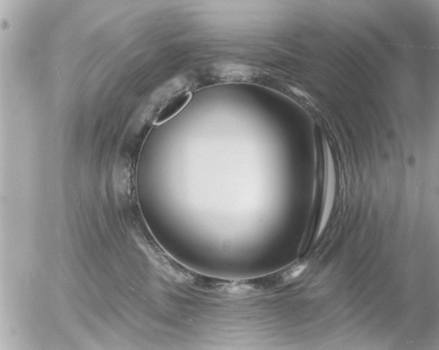 X0000055520379200508262212