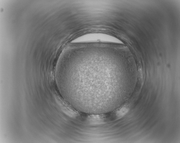 X0000055520381200508262212