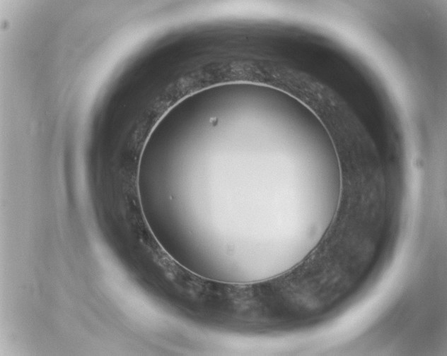 X0000055520382200508262212