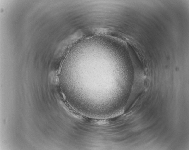 X0000055520383200508262212