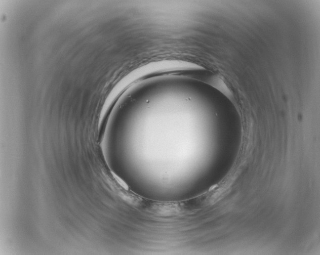 X0000055520384200508262212