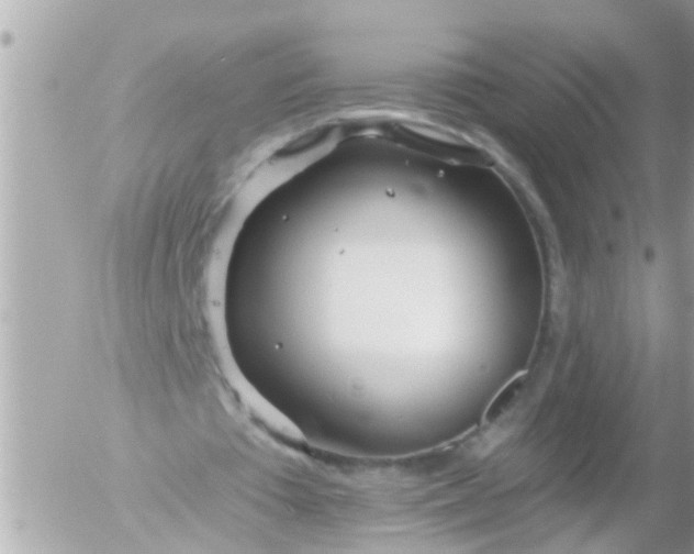 X0000055520385200508262211