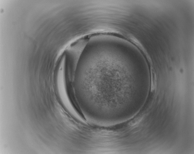 X0000055520387200508262211