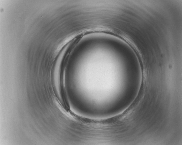 X0000055520389200508262211