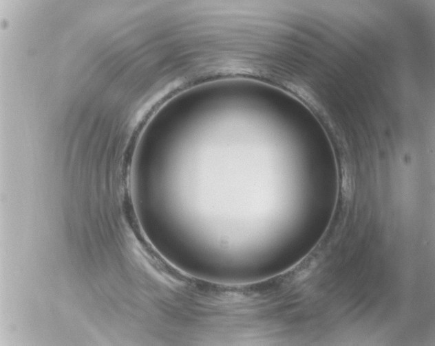 X0000055520390200508262211