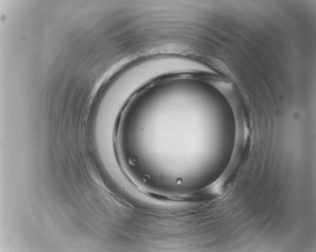 X0000055520392200508262211